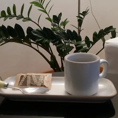 Apartament Domus Lunae *